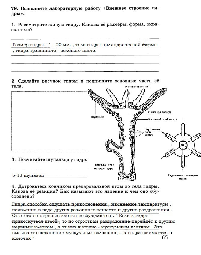 Кракен магазин kraken014 com