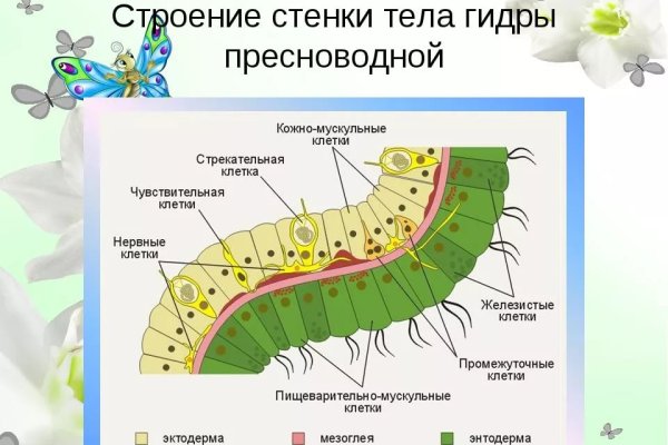 Как зарегистрироваться на кракене