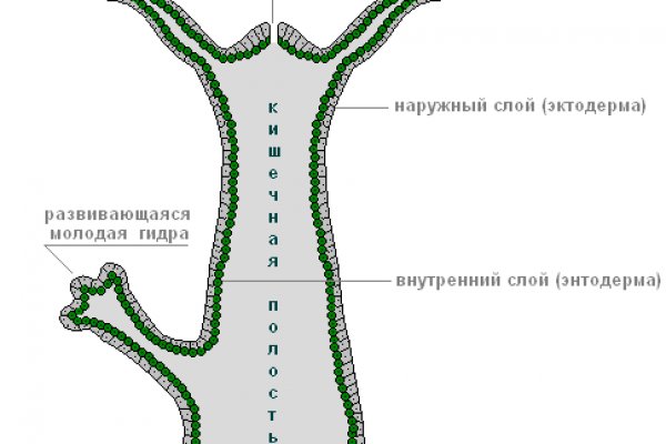 Ссылка на кракен онион